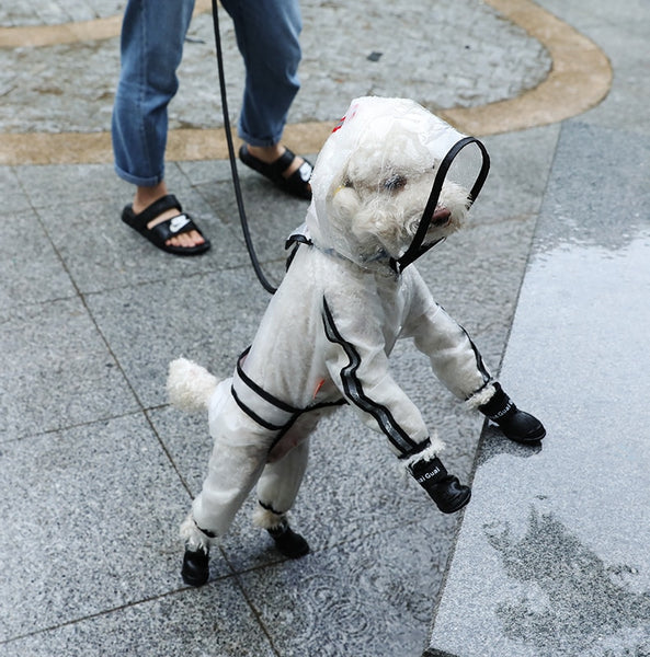 Pet Raincoat Puppy Four Feet Hooded Transparent Waterproof Teddy Large Dog Rain Out Clothes for Animals