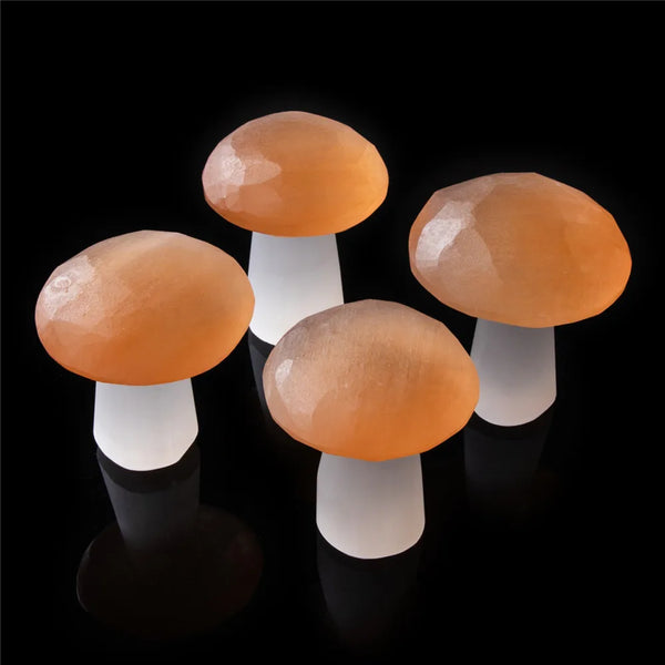 1pcs Mushroom Decor Natural Selenite Quartz Crystal Polished Stones Home Decoration Reiki Healing Natural Quartz Stone Selenita